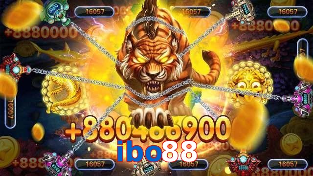 ibo88